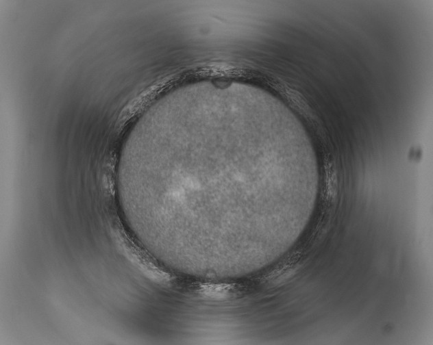 X0000115070450200911171134