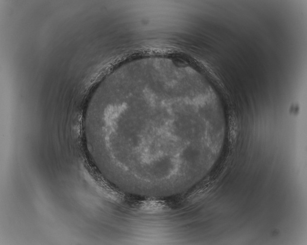 X0000115070451200911171134