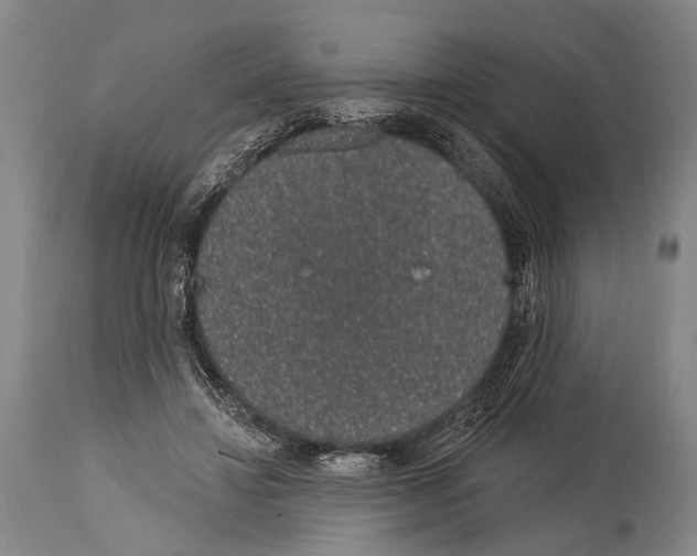 X0000115070452200911171134