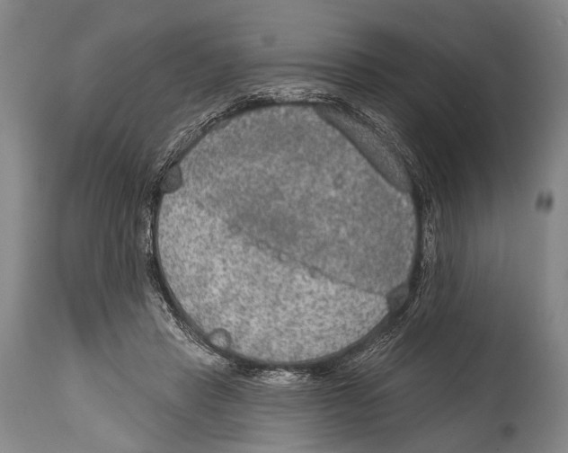X0000115070453200911171134