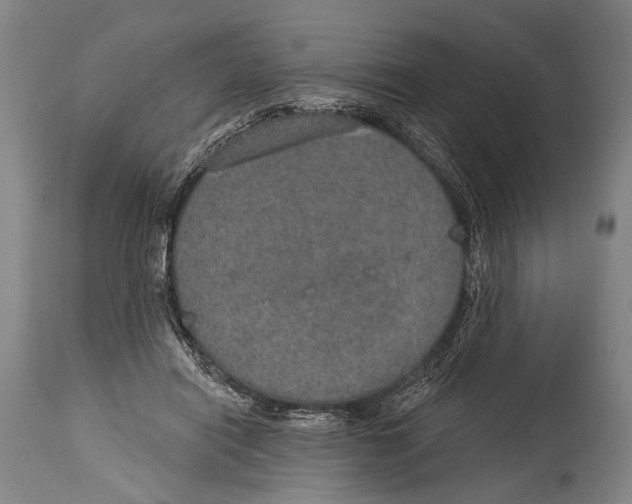 X0000115070454200911171134