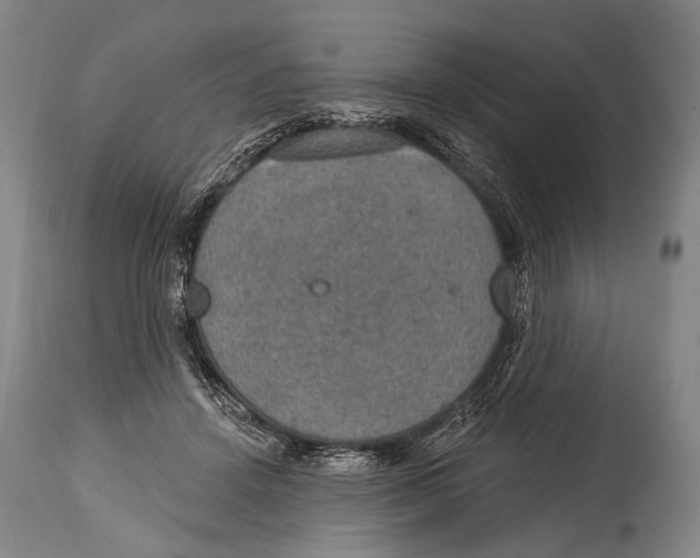 X0000115070456200911171134
