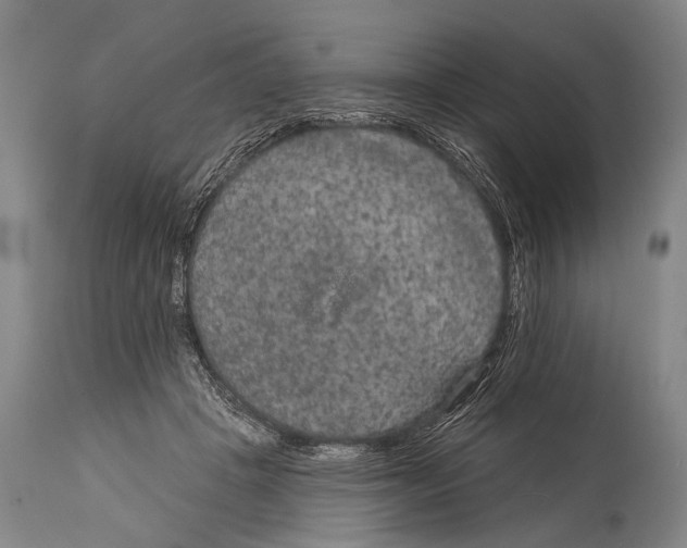 X0000115070457200911171134