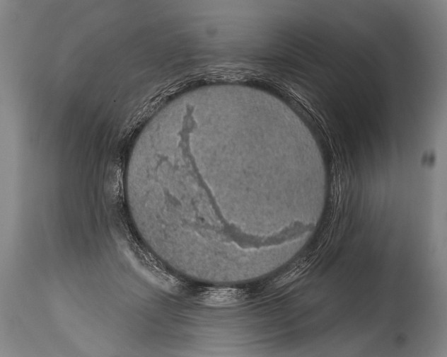 X0000115070459200911171134