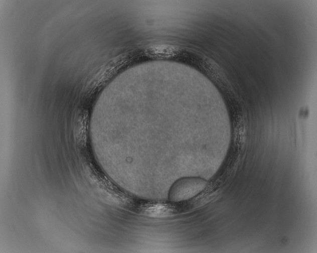 X0000115070460200911171134