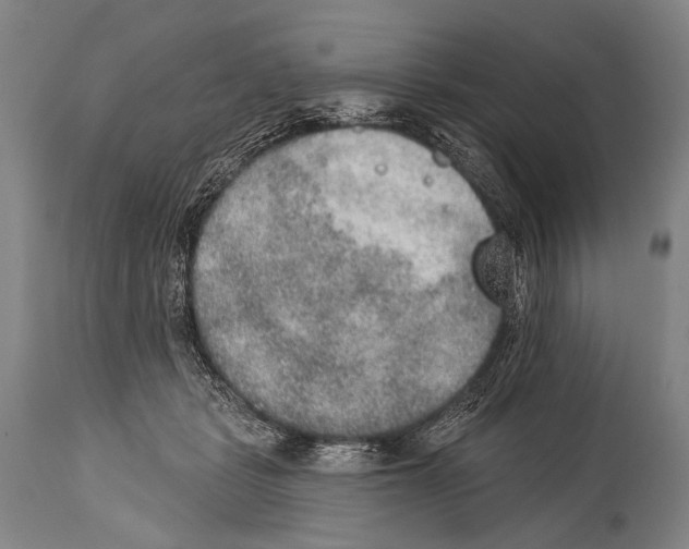 X0000115070461200911171134