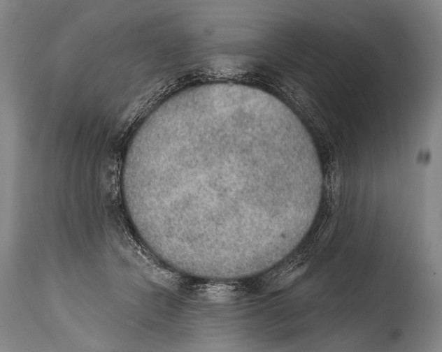 X0000115070462200911171134