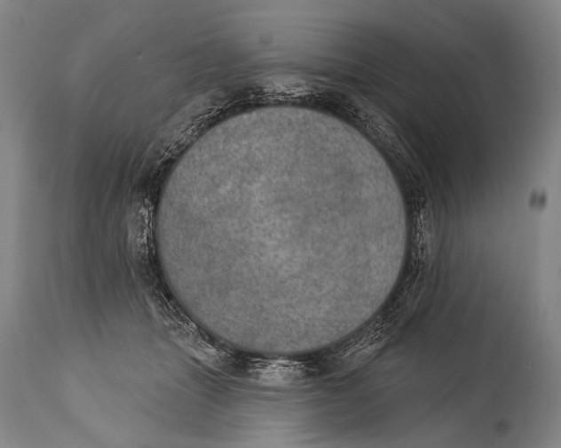 X0000115070463200911171134