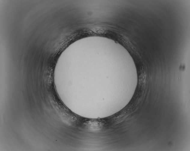 X0000115070464200911171134