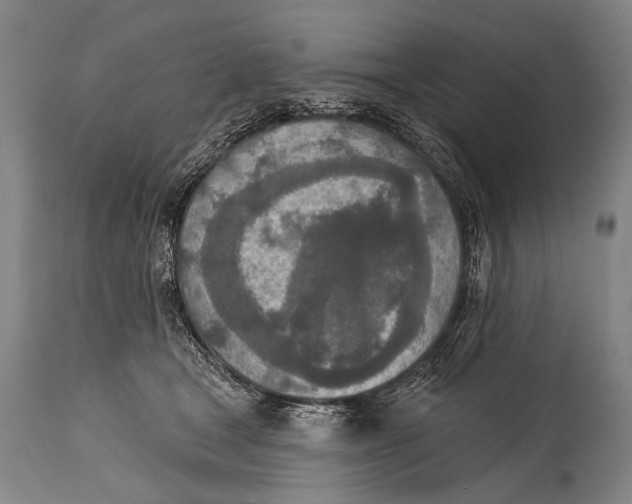 X0000115070465200911171134