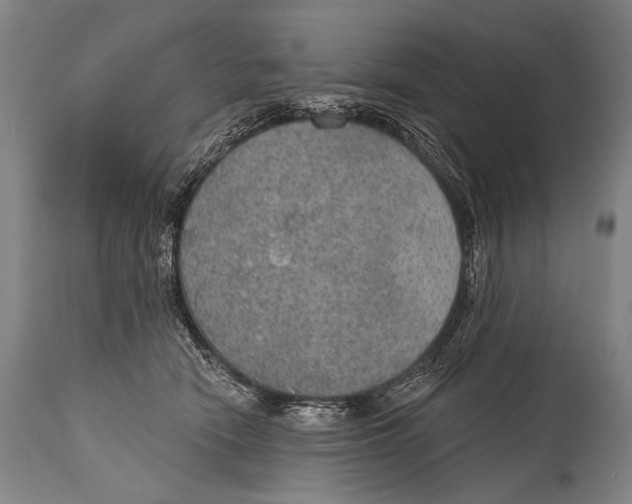 X0000115070466200911171134