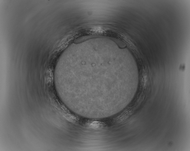X0000115070467200911171134