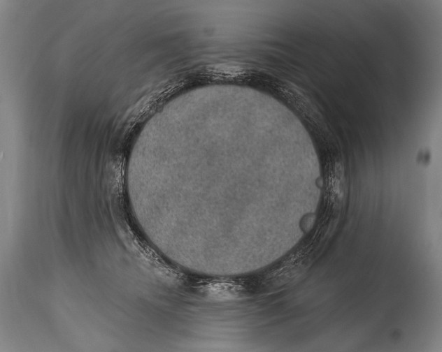 X0000115070468200911171134