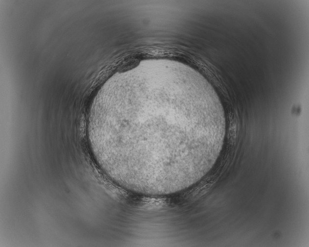 X0000115070469200911171134