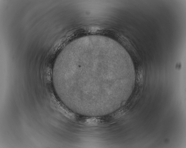 X0000115070470200911171134