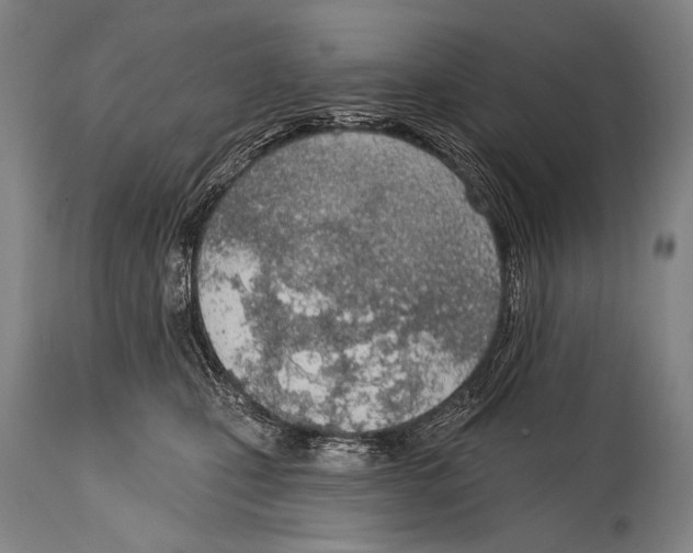 X0000115070471200911171134