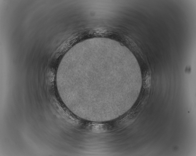 X0000115070472200911171134