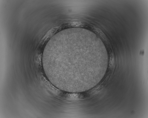 X0000115070473200911171134