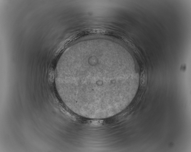 X0000115070474200911171134