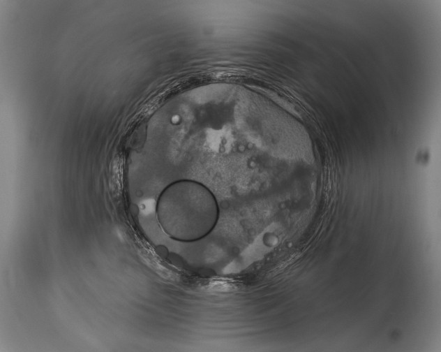 X0000115070475200911171134