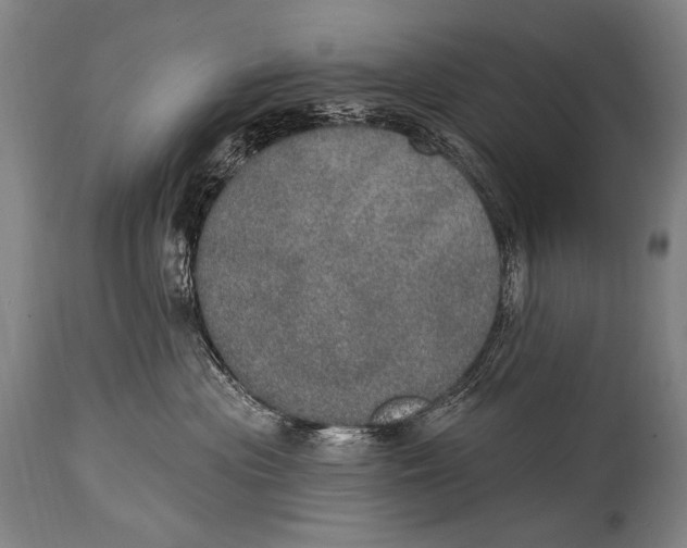 X0000115070477200911171134