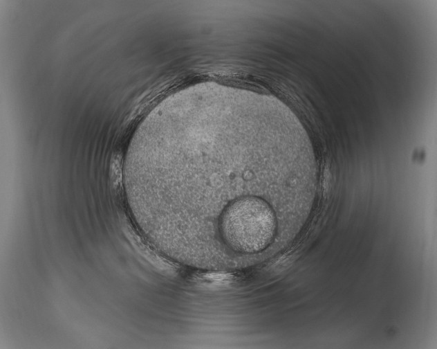 X0000115070478200911171134