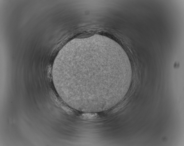 X0000115070480200911171134