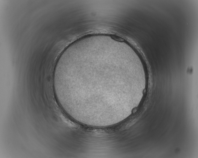 X0000115070481200911171133
