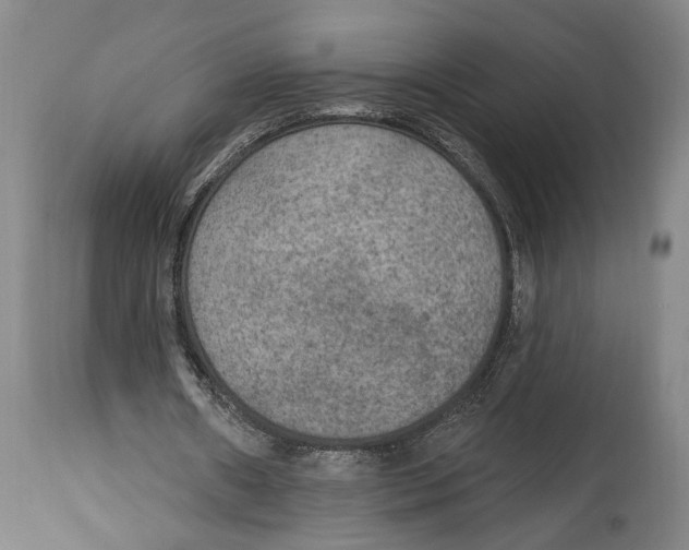 X0000115070482200911171133