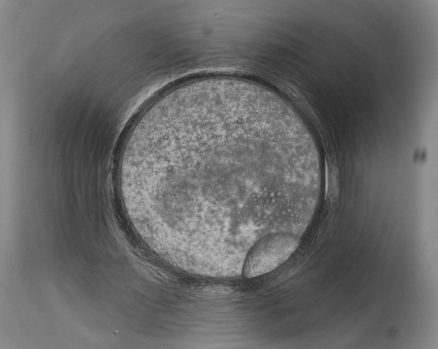 X0000115070483200911171133