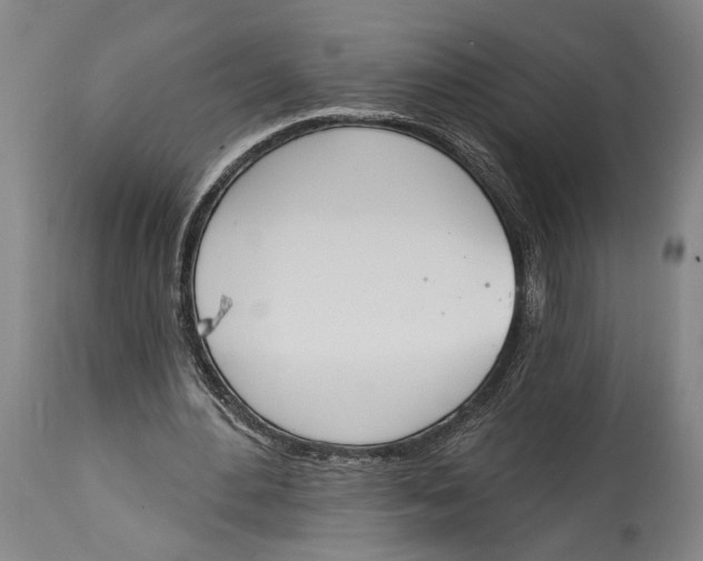 X0000115070484200911171133