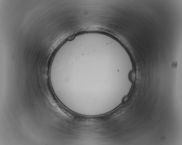 X0000115070485200911171133