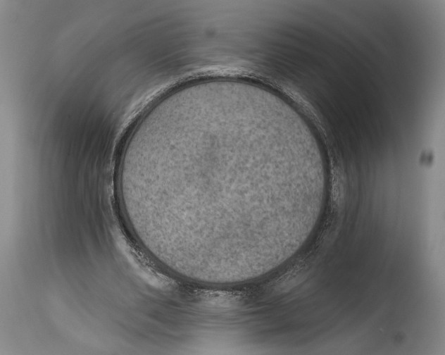 X0000115070486200911171133