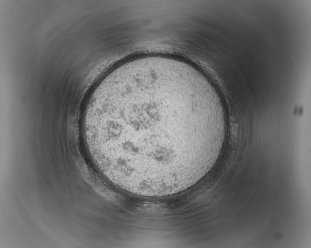 X0000115070487200911171133
