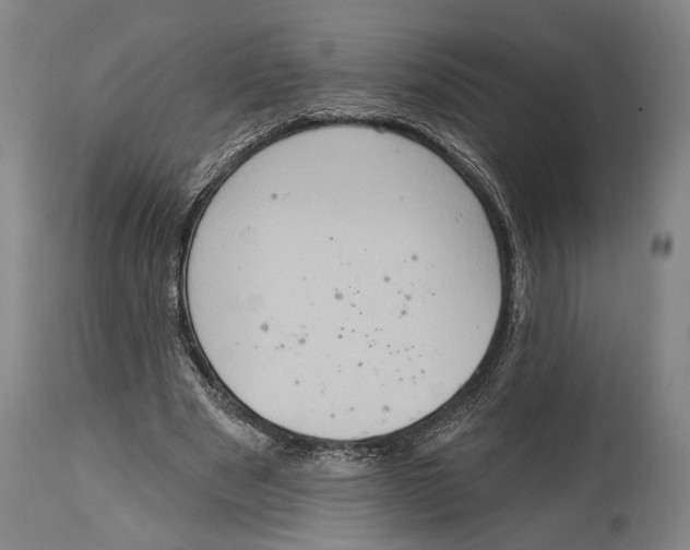 X0000115070489200911171133