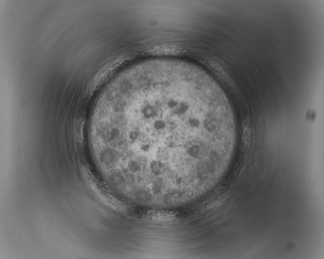 X0000115070491200911171133