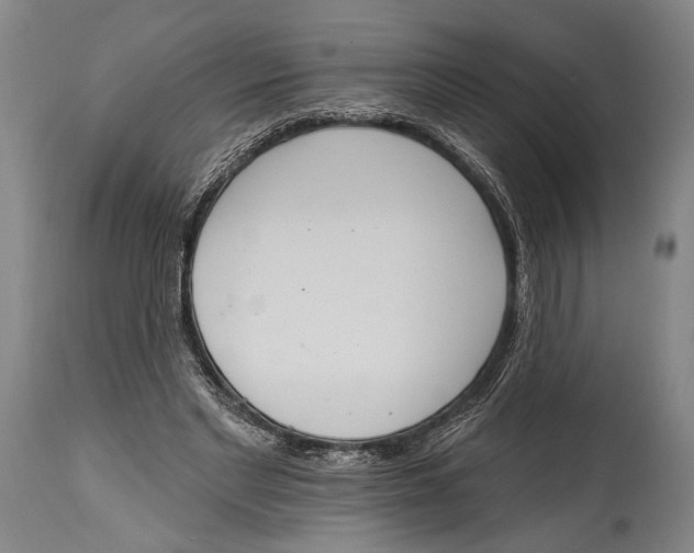 X0000115070493200911171133