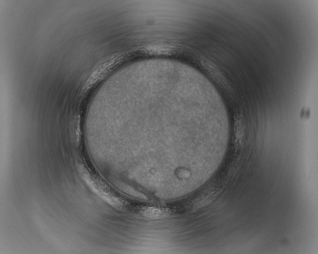 X0000115070494200911171133