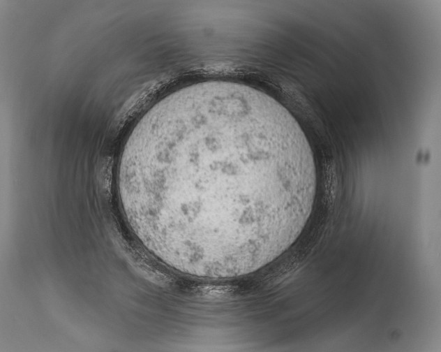 X0000115070495200911171133