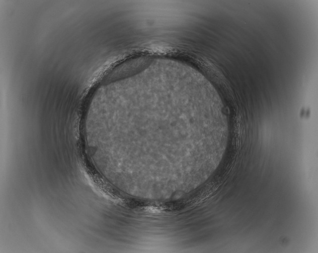 X0000115070496200911171133