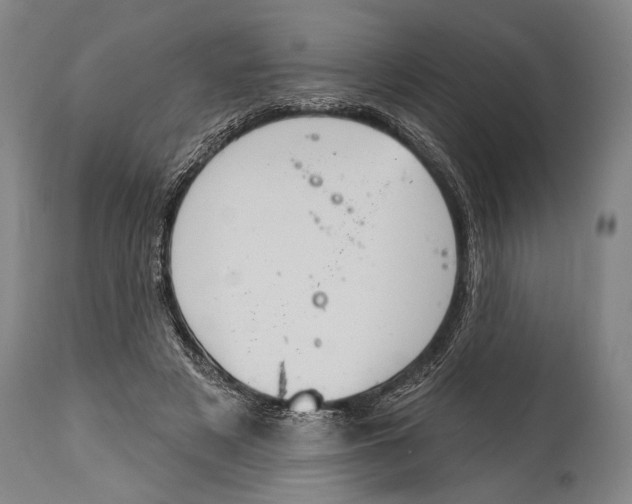X0000115070497200911171133