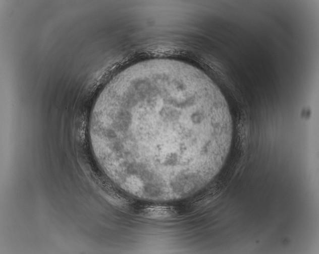 X0000115070499200911171133