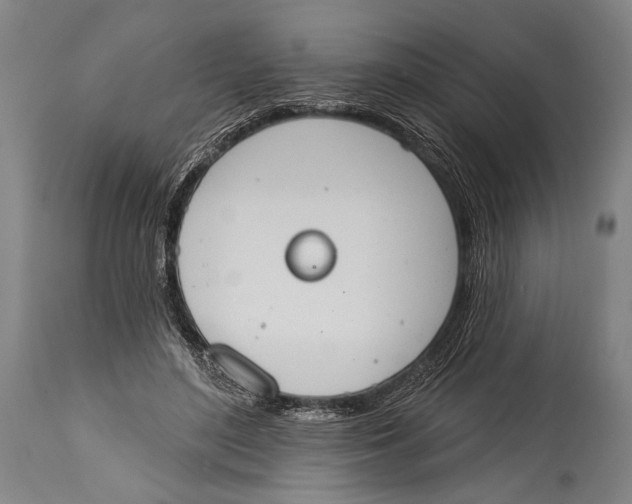 X0000115070500200911171133