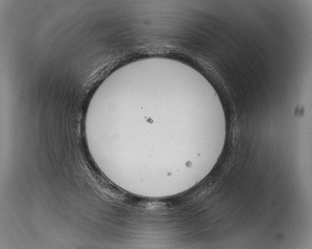 X0000115070501200911171133