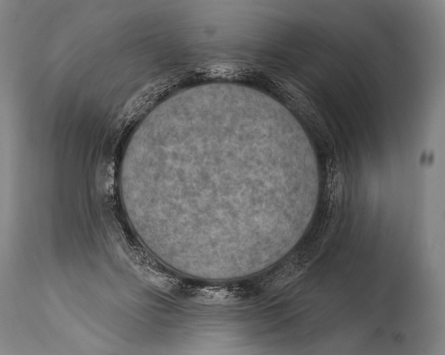 X0000115070502200911171133