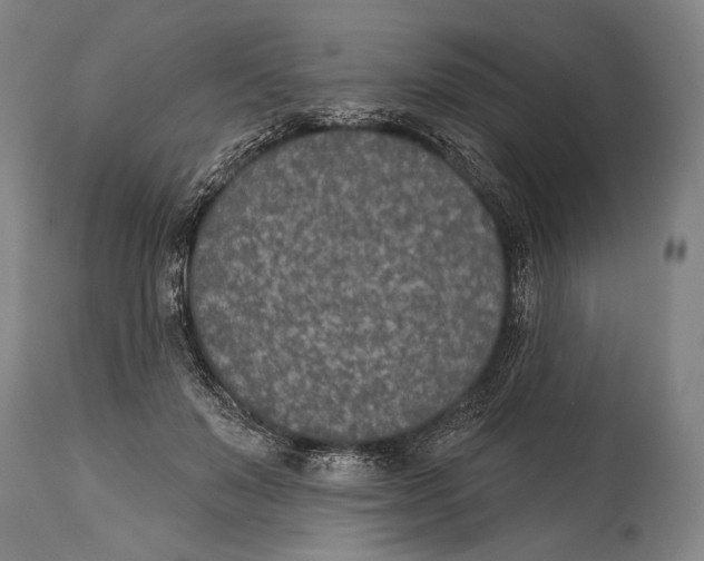 X0000115070503200911171133