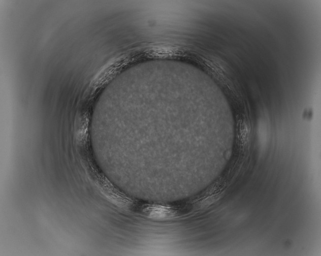 X0000115070507200911171133