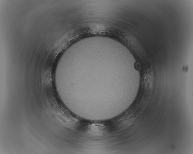 X0000115070508200911171133