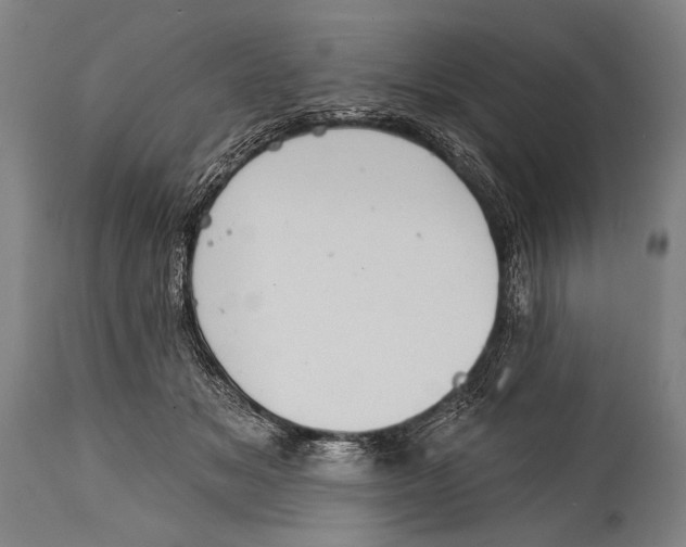 X0000115070509200911171133