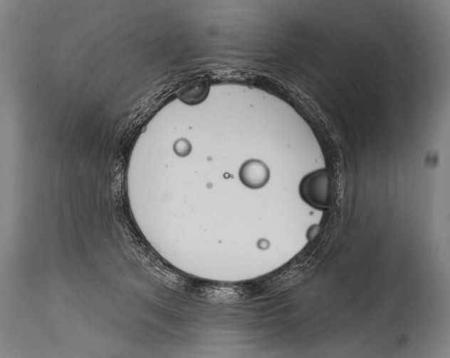 X0000115070513200911171133